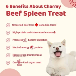 Beef Spleen Air-Dried Dog & Cat Treats