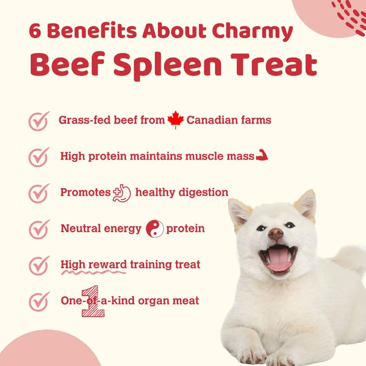 Beef Spleen Air-Dried Dog & Cat Treats