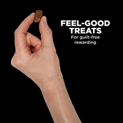 Benefit Chews Digestion + Gut Health Salmon Recipe Dog Treats