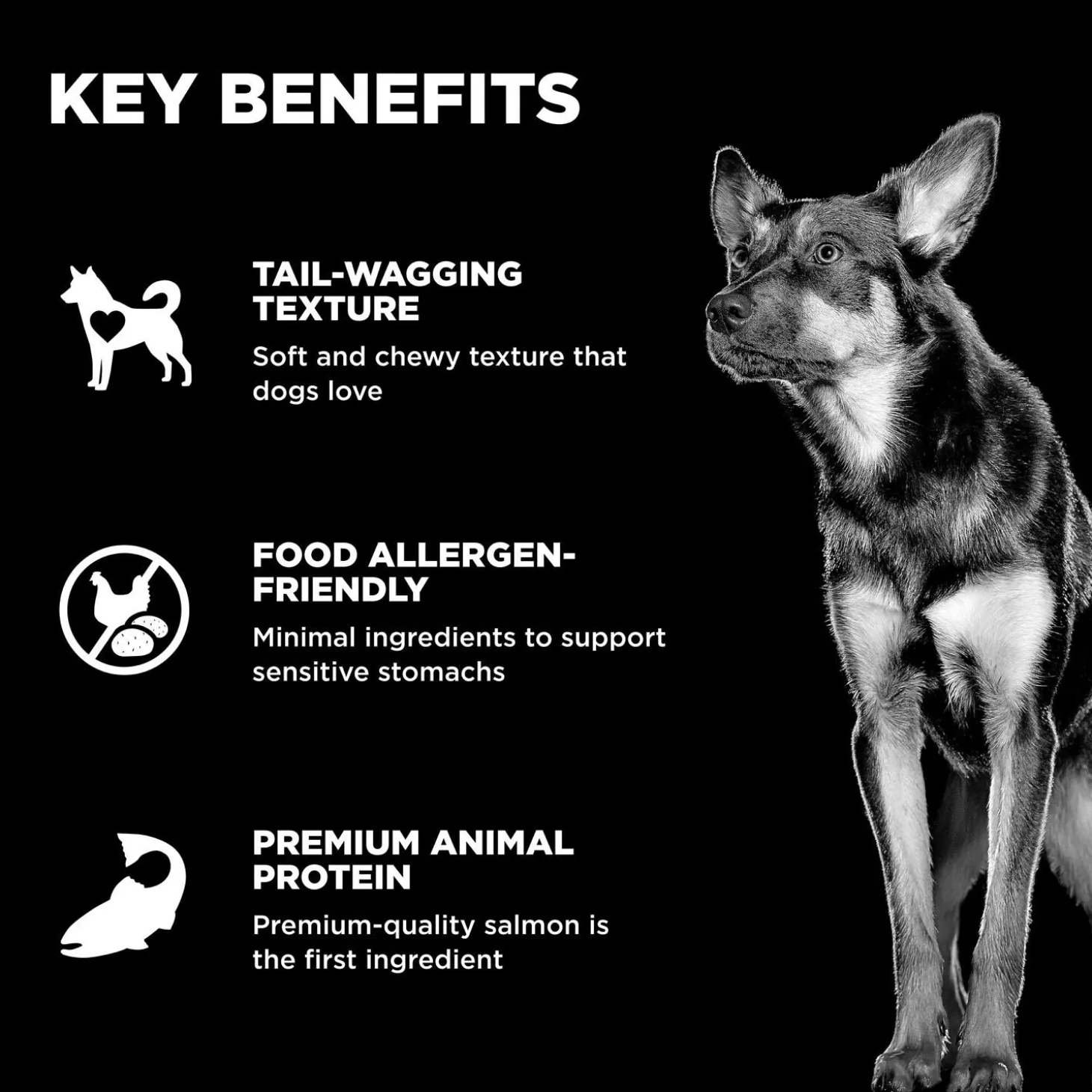 Benefit Chews Sensitivities Limited Ingredient Salmon Recipe Dog Treats