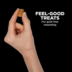 Benefit Chews Sensitivities Limited Ingredient Salmon Recipe Dog Treats