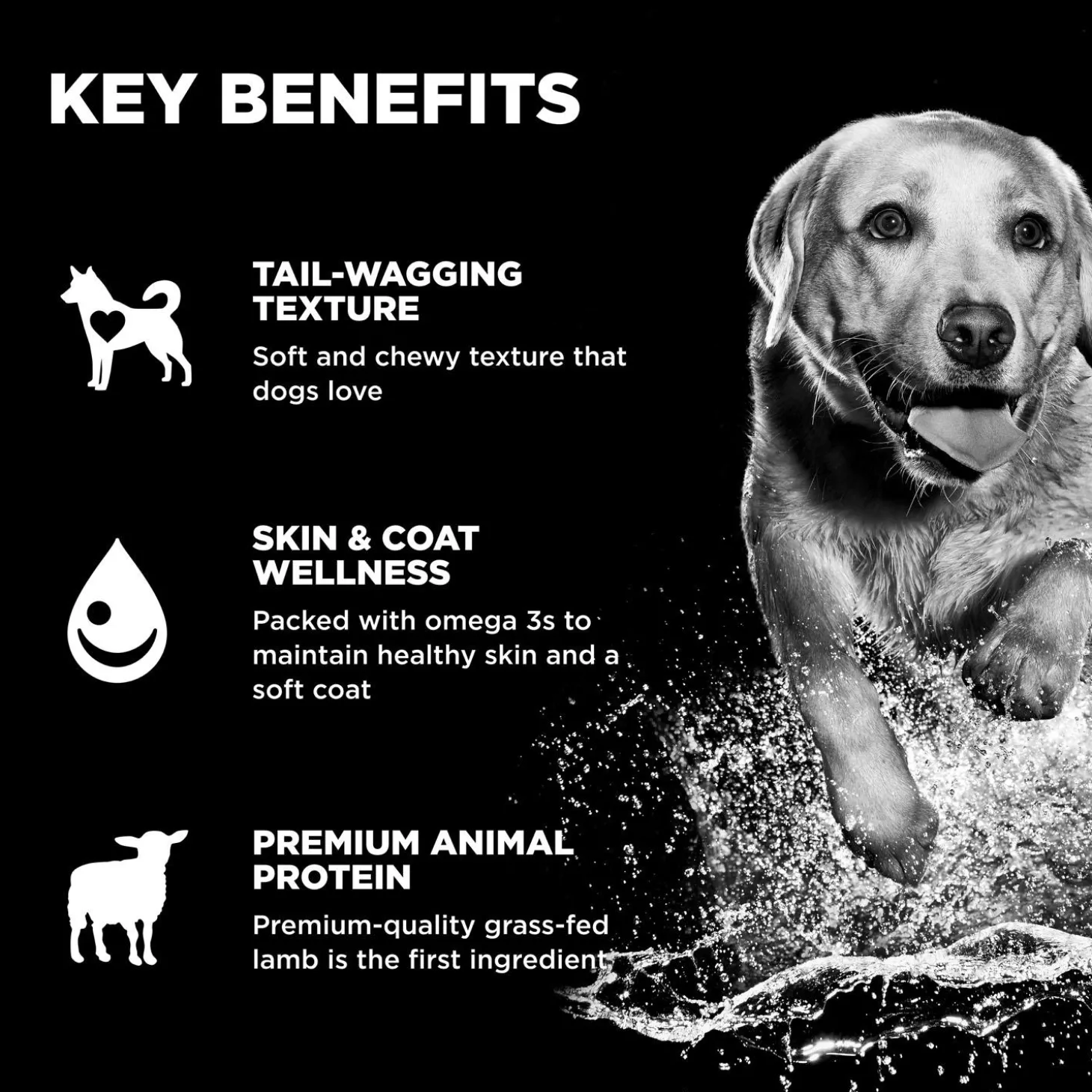 Benefit Chews Skin + Coat Care Lamb Recipe Dog Treats