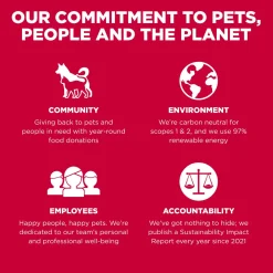 Benefit Chews Skin + Coat Care Lamb Recipe Dog Treats