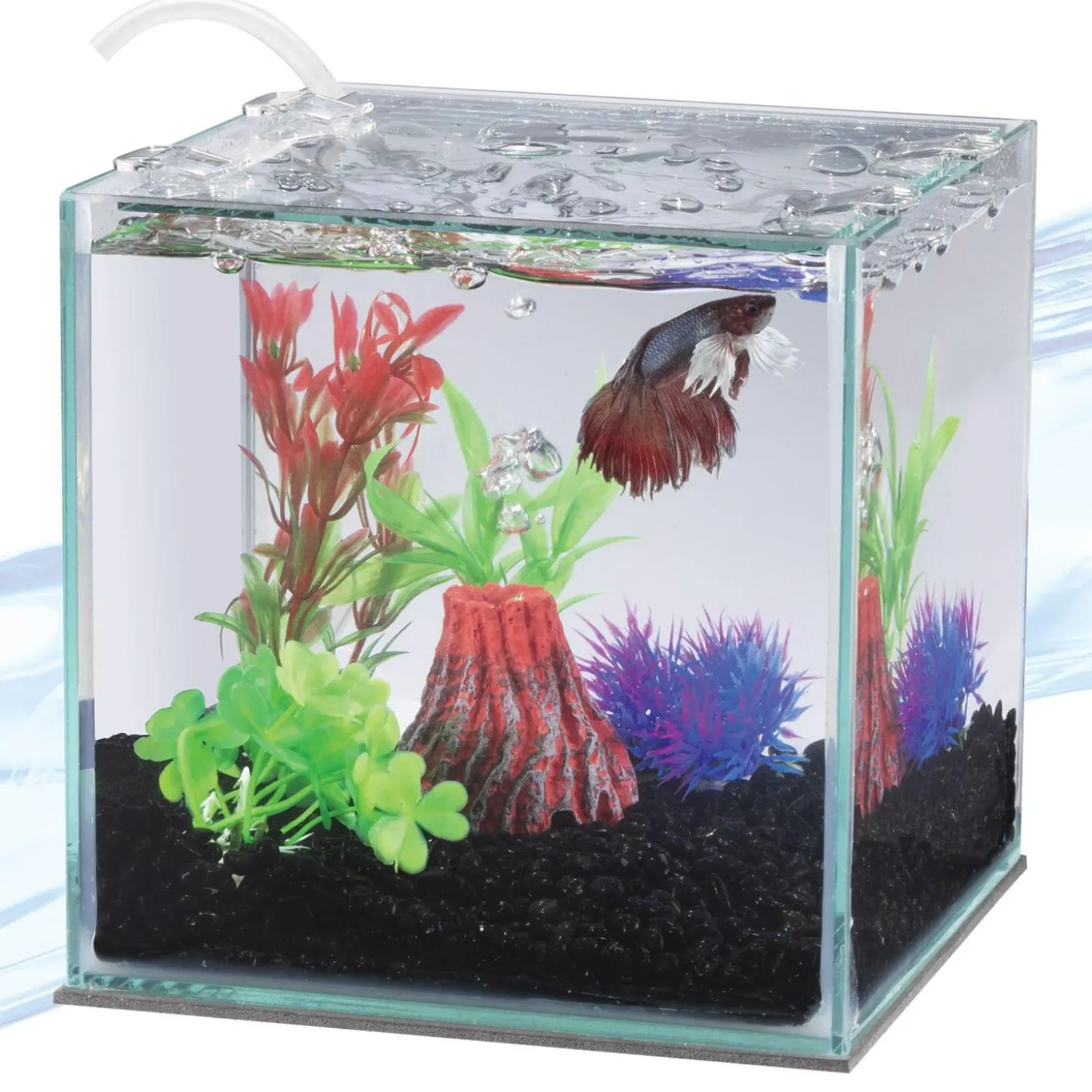 Betta Filter with Volcano