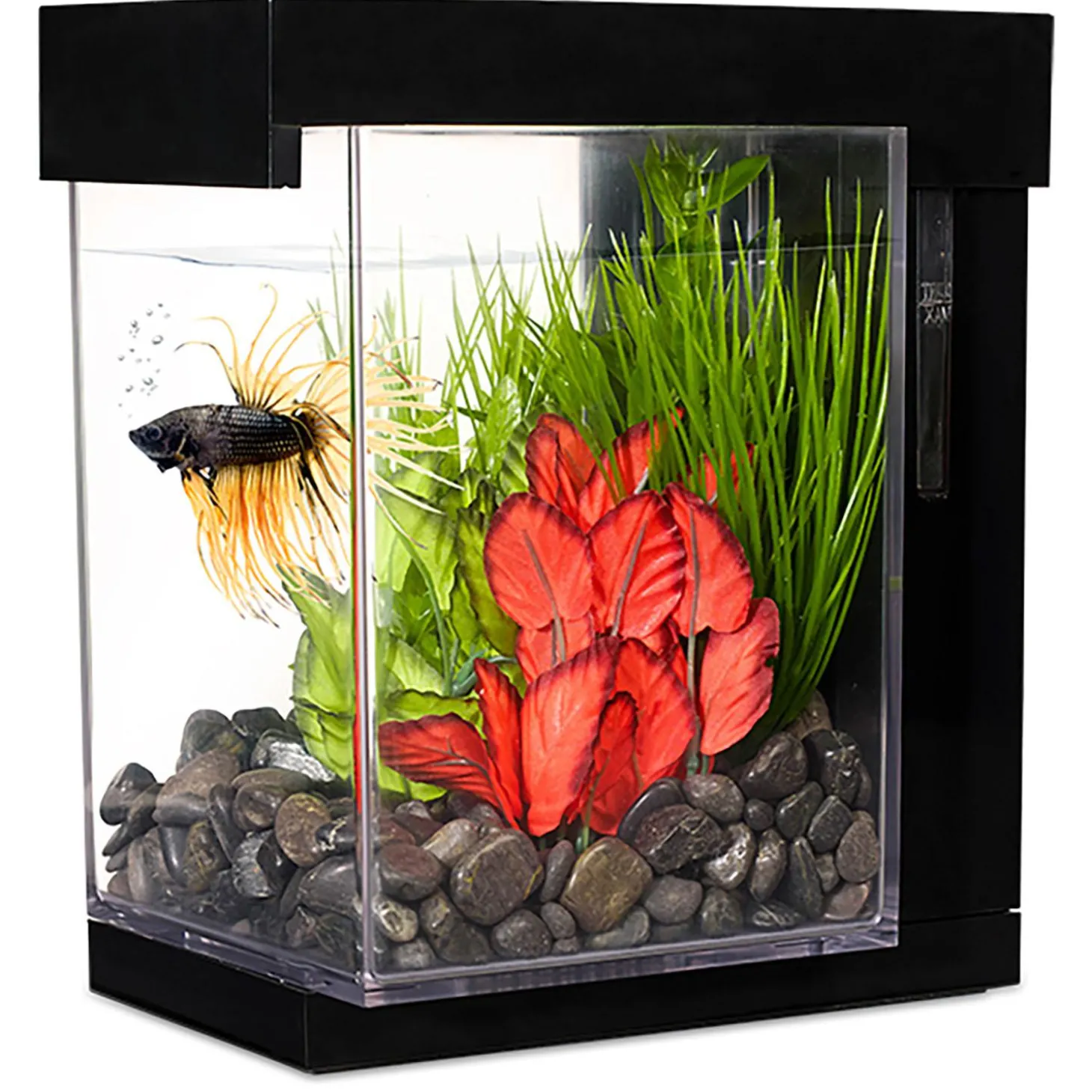 Betta Style EZ Care Aquarium