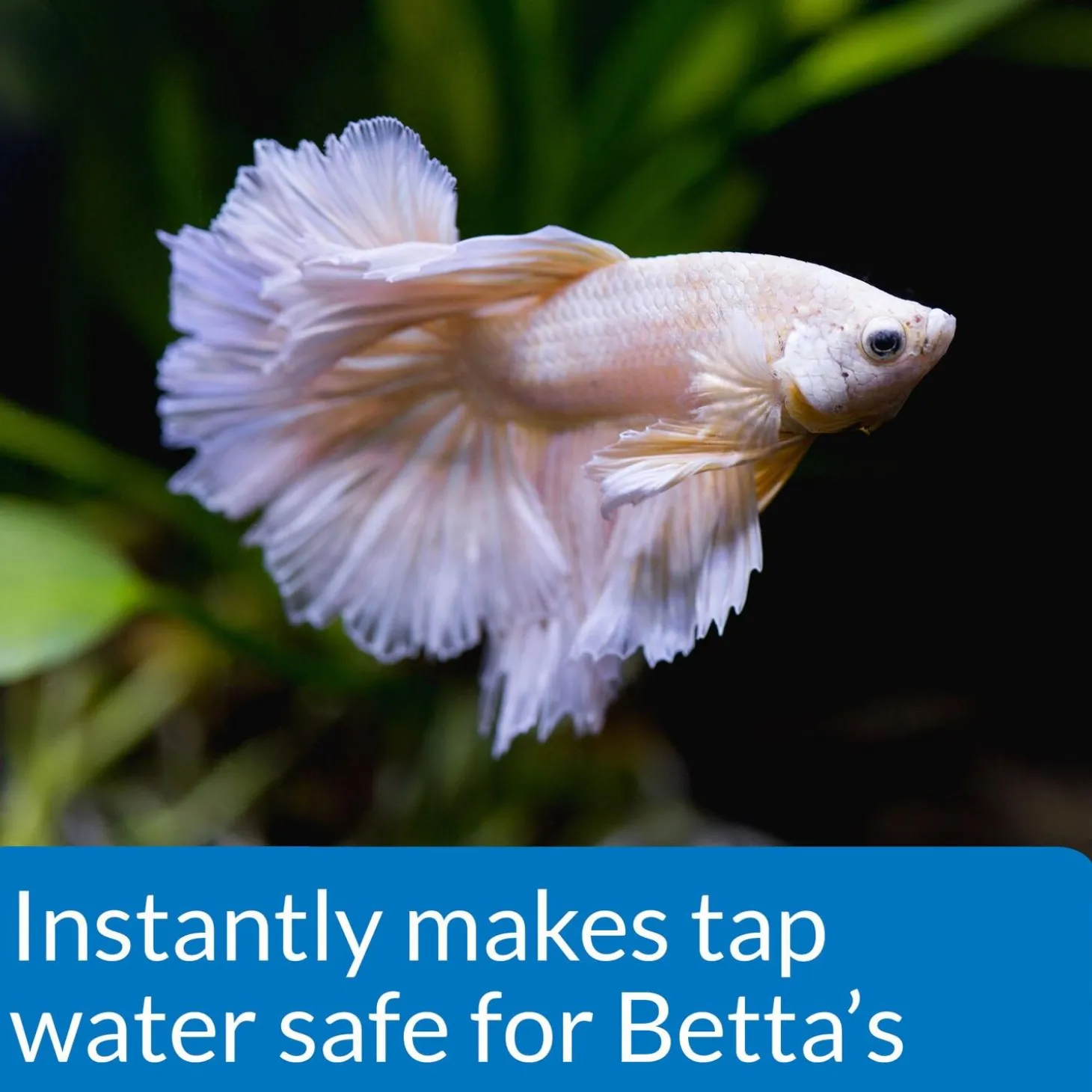 Betta Water Conditioner