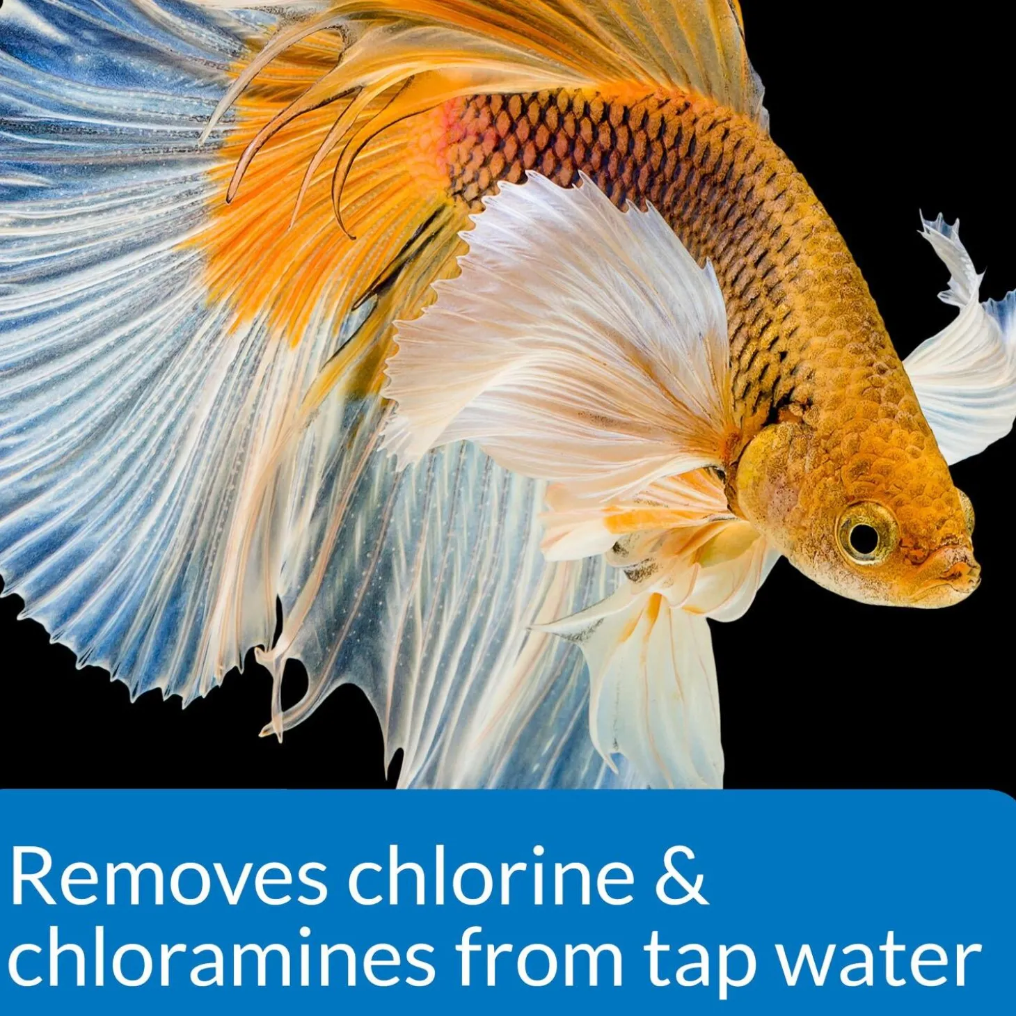 Betta Water Conditioner