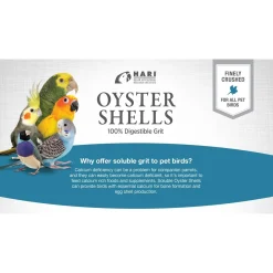 Bird Oyster Shell