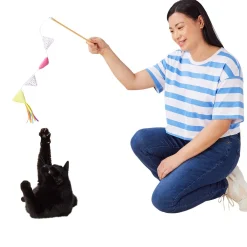 Birthday Flag Teaser Cat Toy