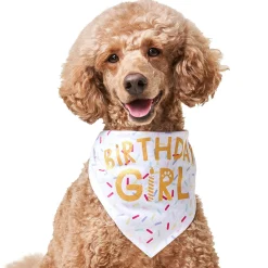 Birthday Girl Bandana