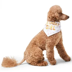 Birthday Girl Bandana