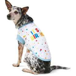 Birthday Graphic T-Shirt