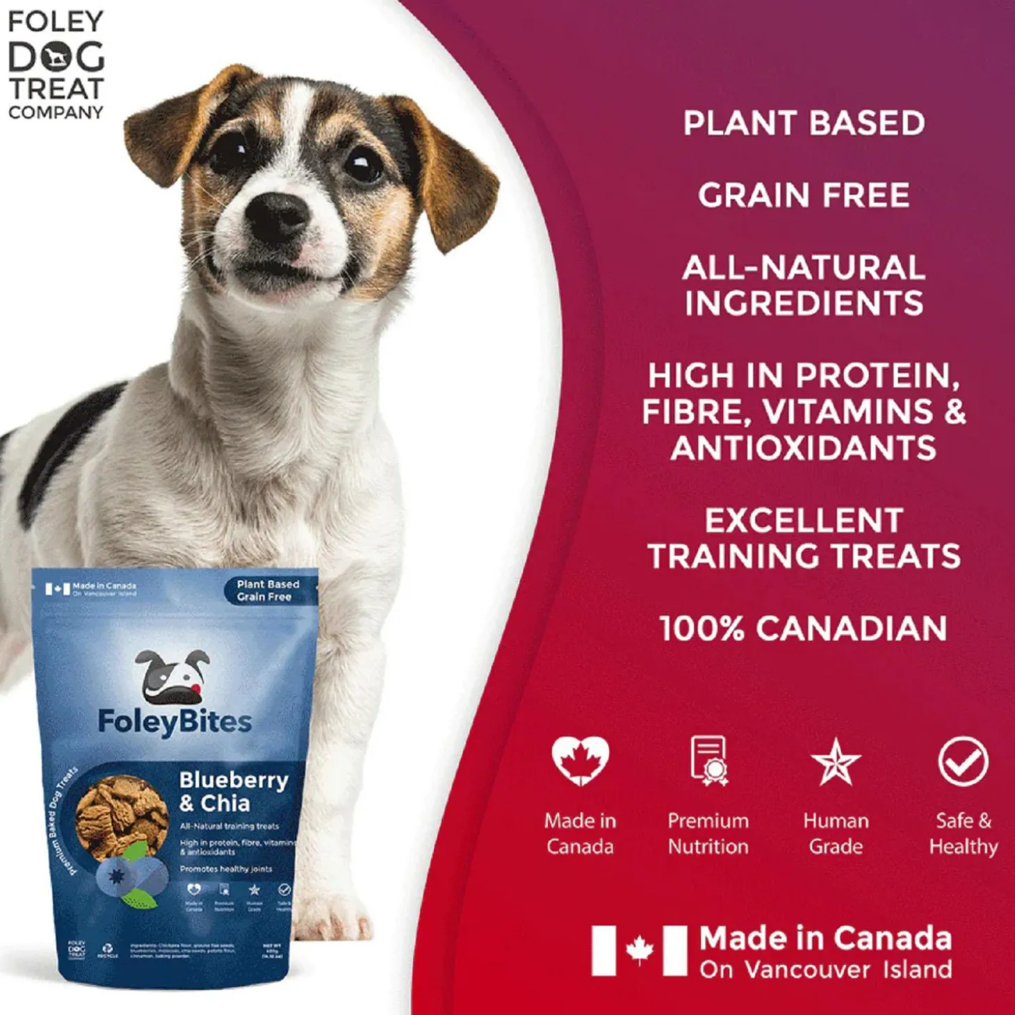 Bites Plant Based Blueberry & Chia Dog Treats