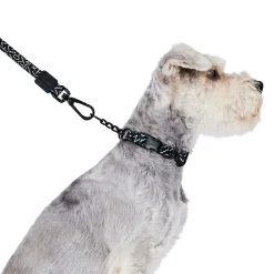 Black & White Dog Leash