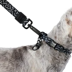 Black & White Dog Leash