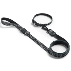 Black & White Dog Leash