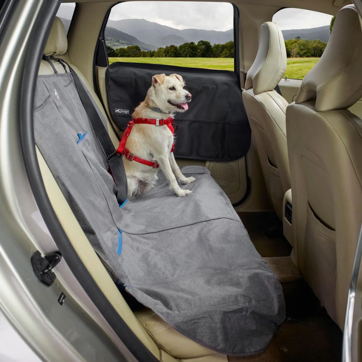 Black Car Door Guard