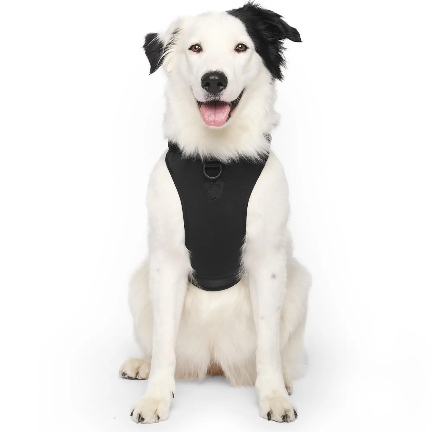 Black Neoprene Dog Harness