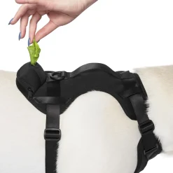 Black Neoprene Dog Harness