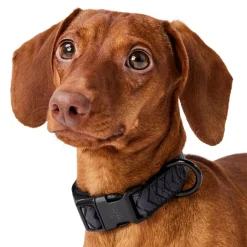 Black Reflective Cushion Neoprene Padded Dog Collar