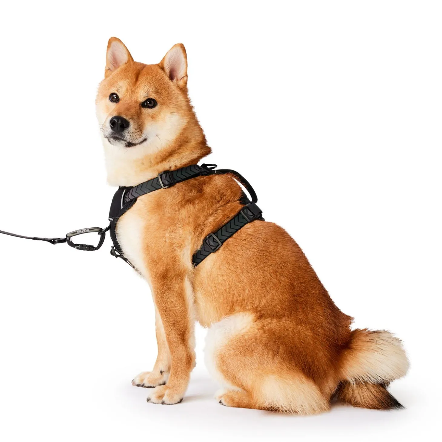 Black Reflective Cushion Neoprene Padded Dog Harness