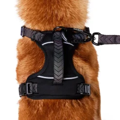 Black Reflective Cushion Neoprene Padded Dog Harness