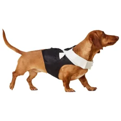 Black Wedding Tuxedo