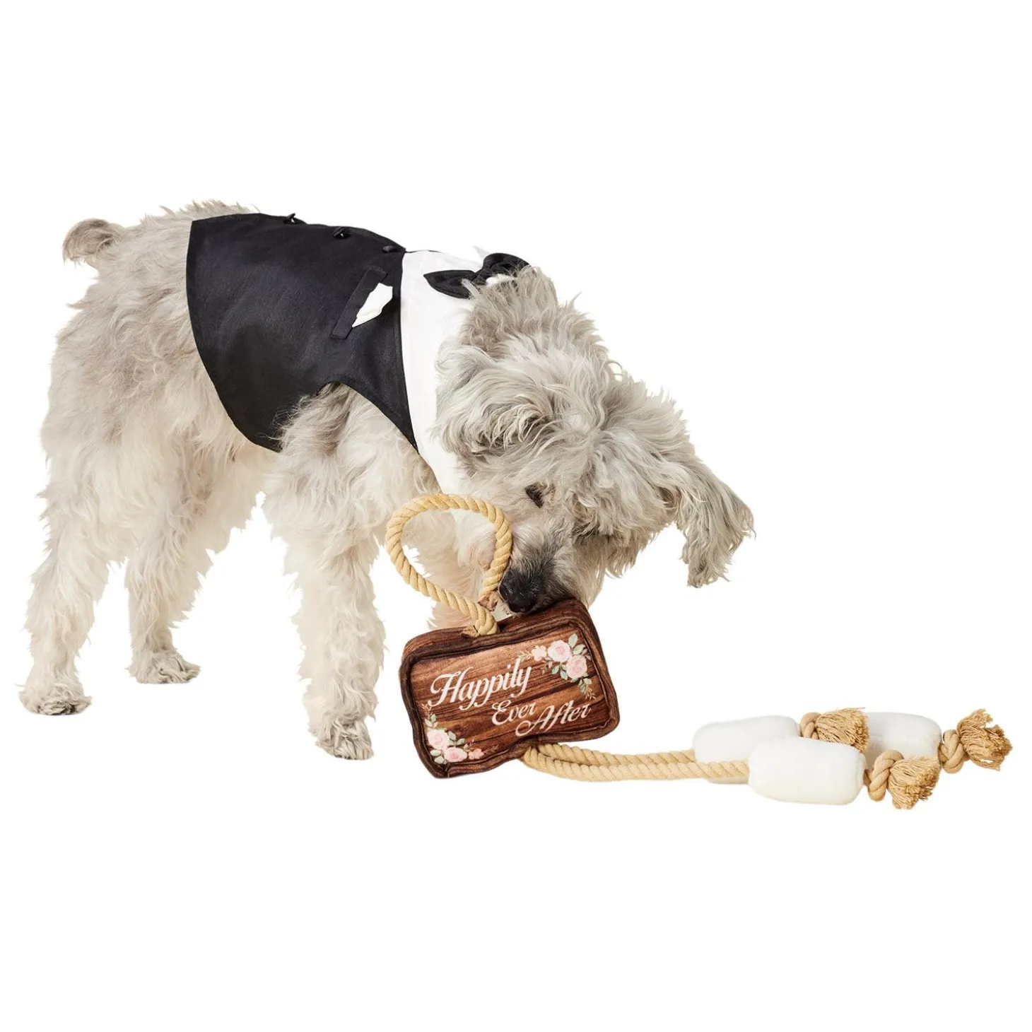 Black Wedding Tuxedo