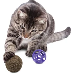 Blissy Moon Ball with Catnip Cat Toy