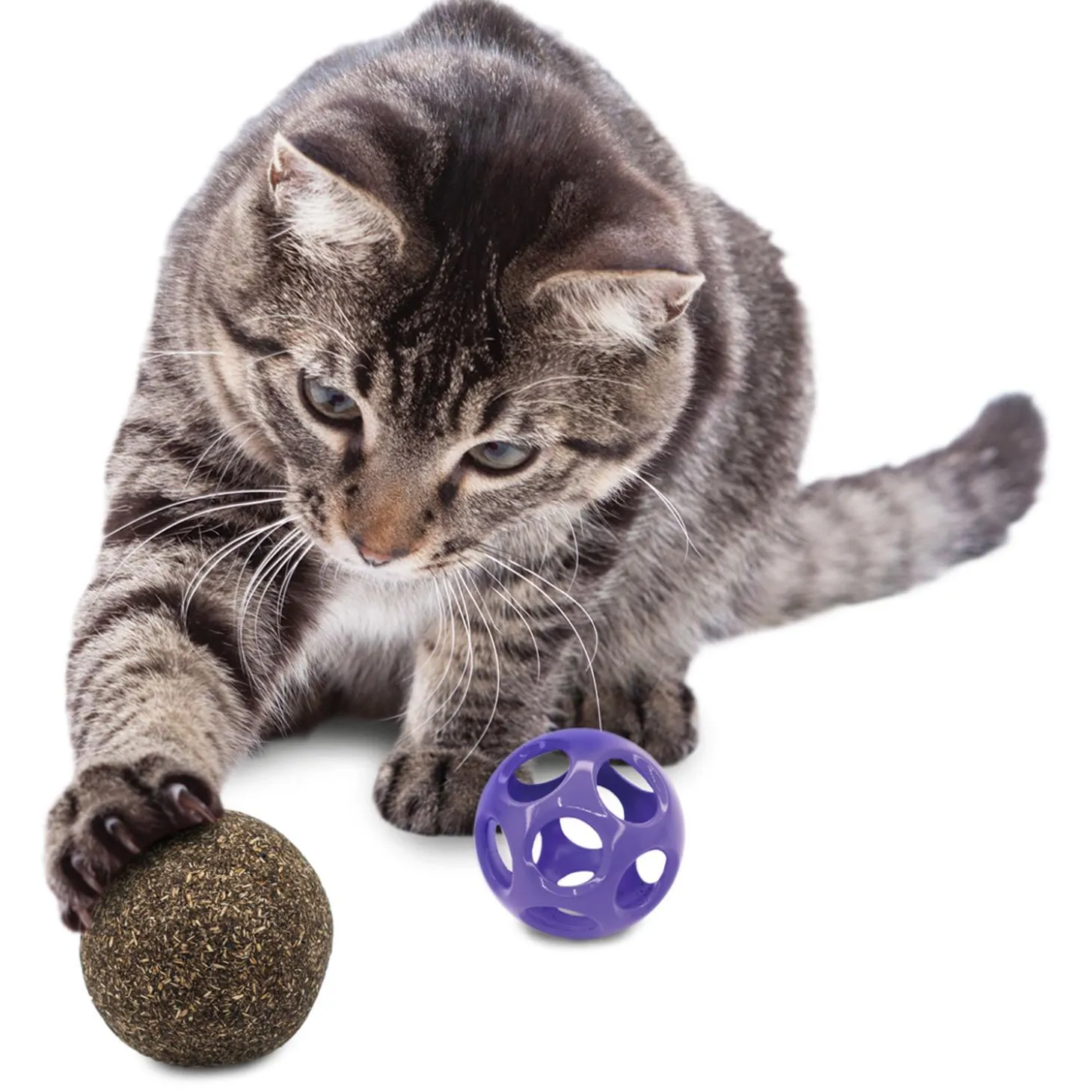 Blissy Moon Ball with Catnip Cat Toy