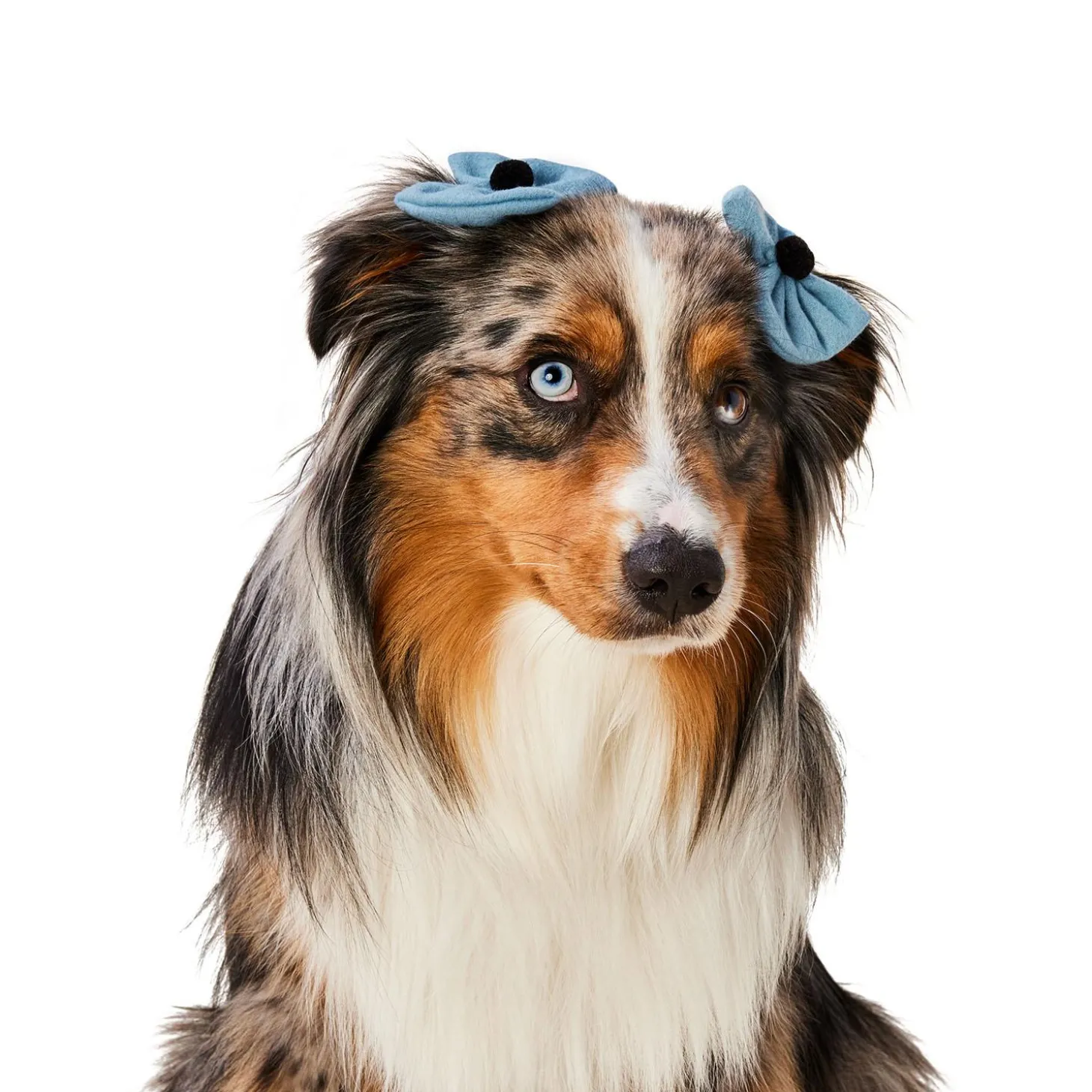 Blue Bow Hairclip Set