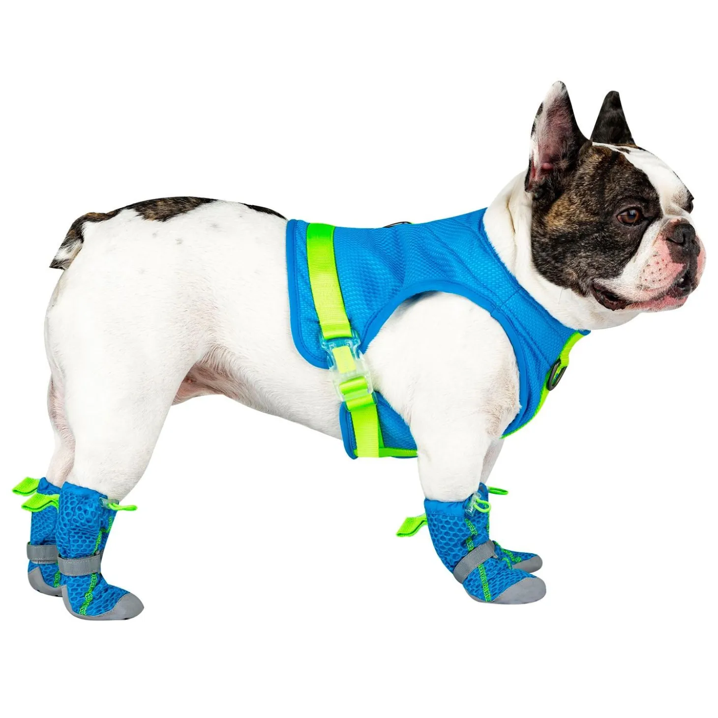 Blue Hot Pavement Boots