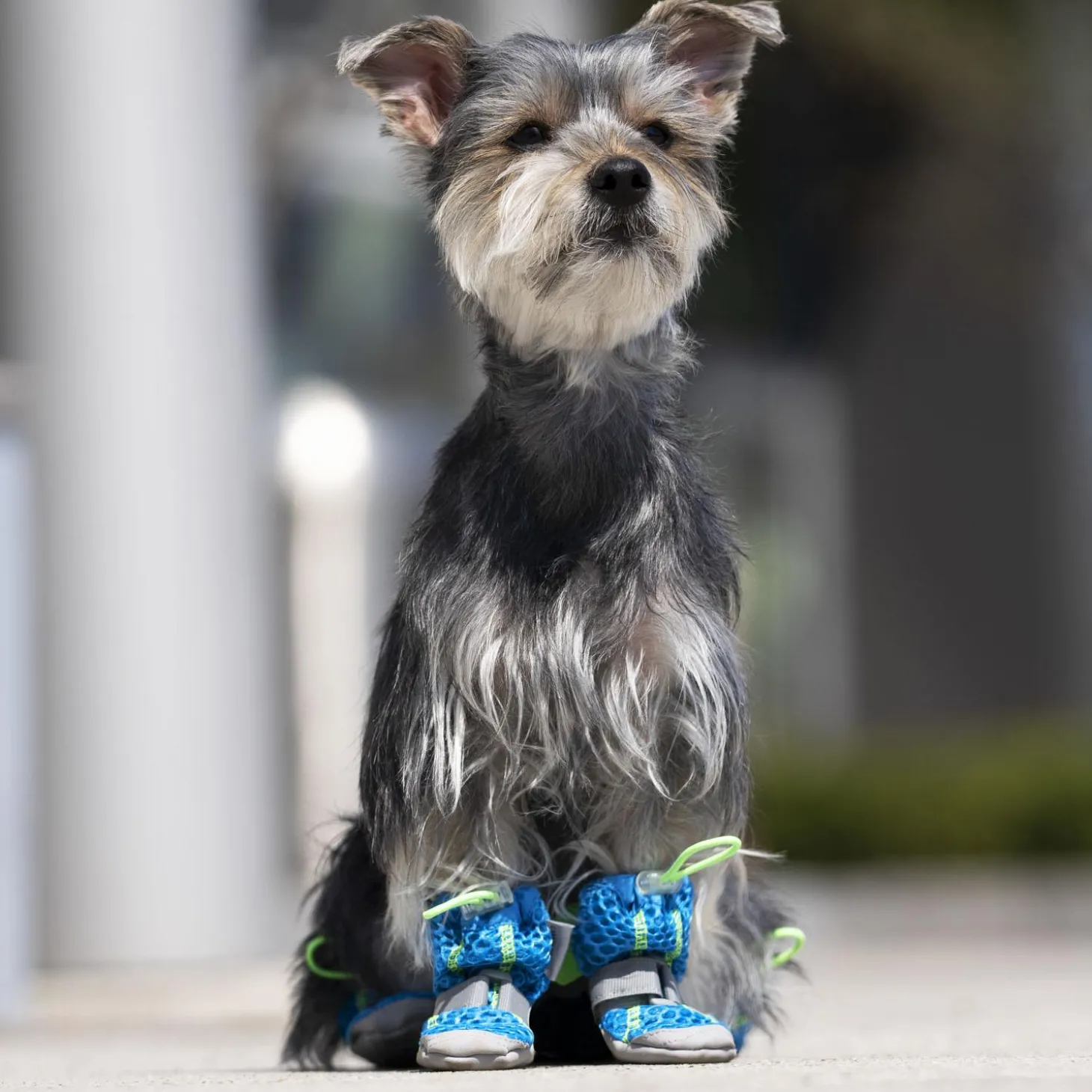 Blue Hot Pavement Boots