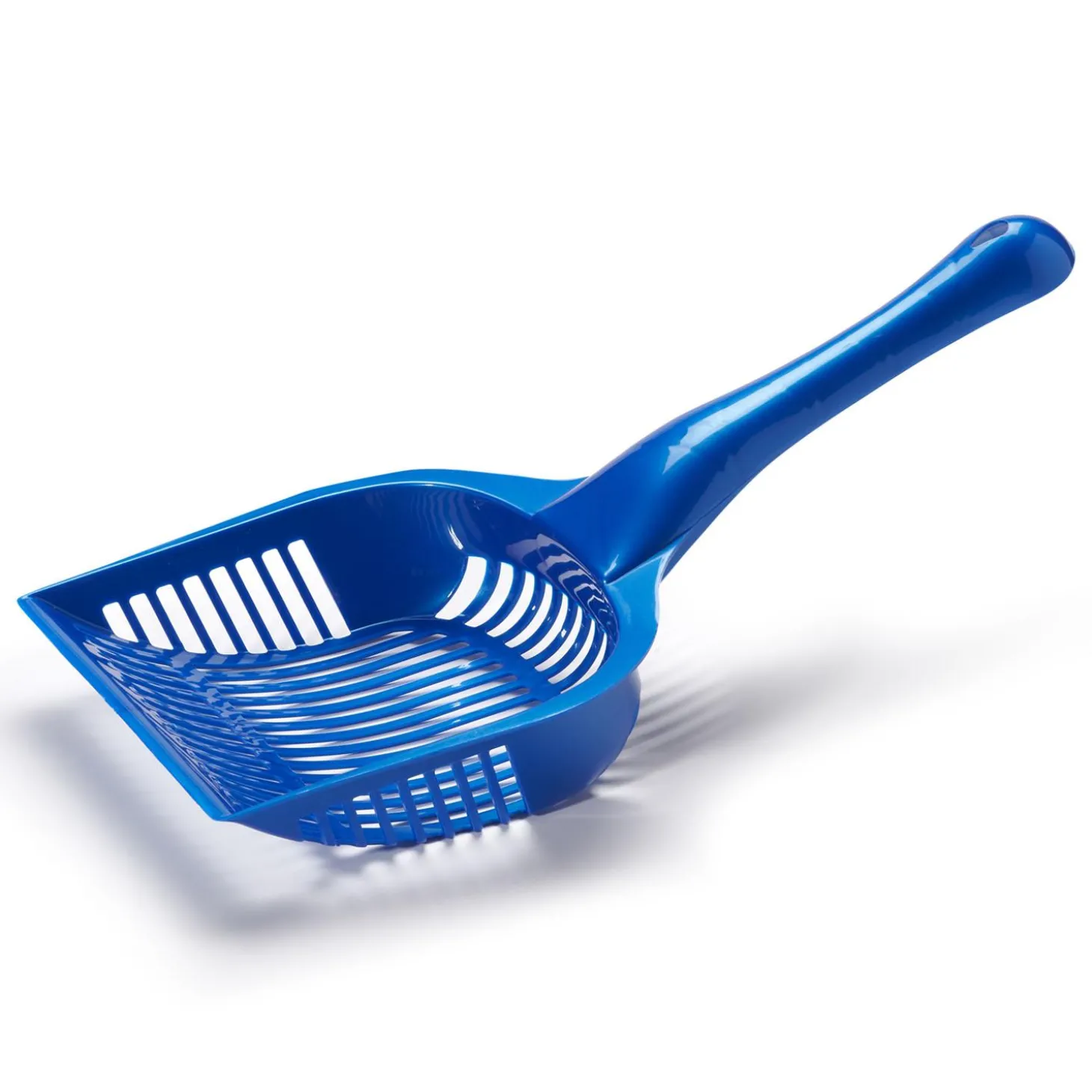 Blue Litter Scoop
