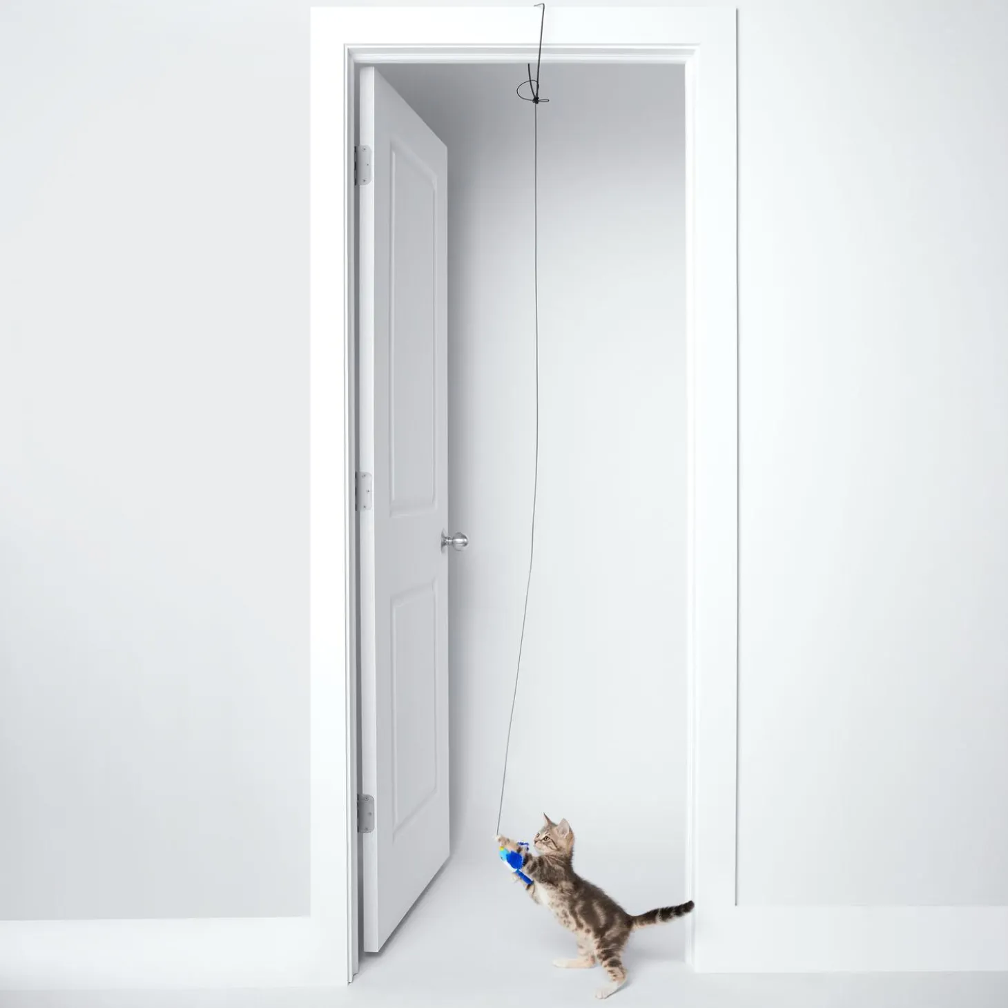 Bluebird Doorframe Teaser Cat Toy