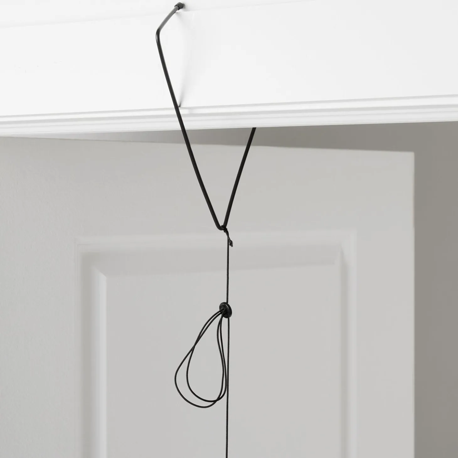 Bluebird Doorframe Teaser Cat Toy