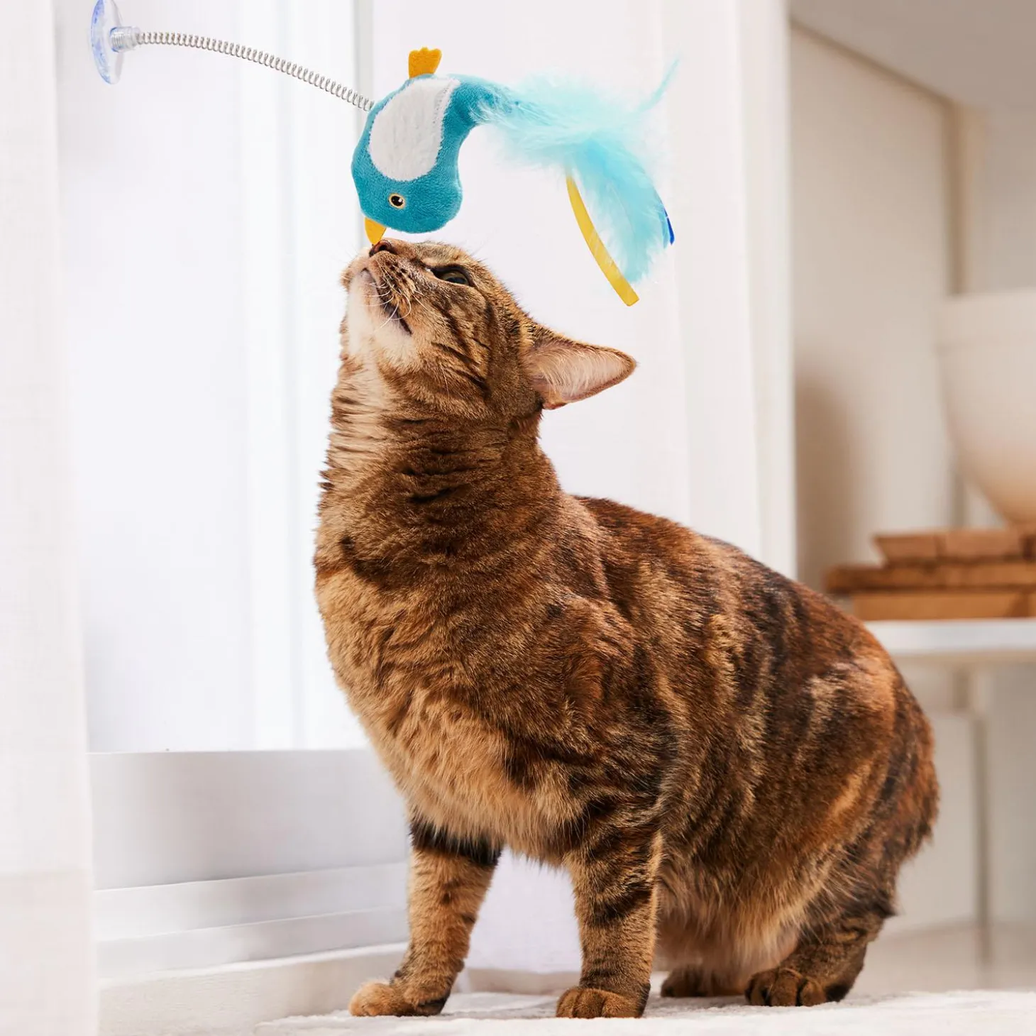 Bluebird Spring Teaser Cat Toy