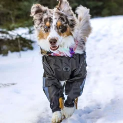 Bodyguard Protective All-Weather Grey Dog Pants