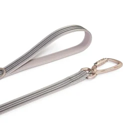 Bone Reflective Cushion Neoprene Padded Dog Leash