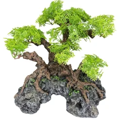 Bonsai Tree