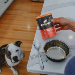 Booster Digestive Health Chicken + Lamb Stew Dog Food Topper