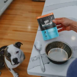 Booster Digestive Health Chicken + Duck Pate Dog Food Topper