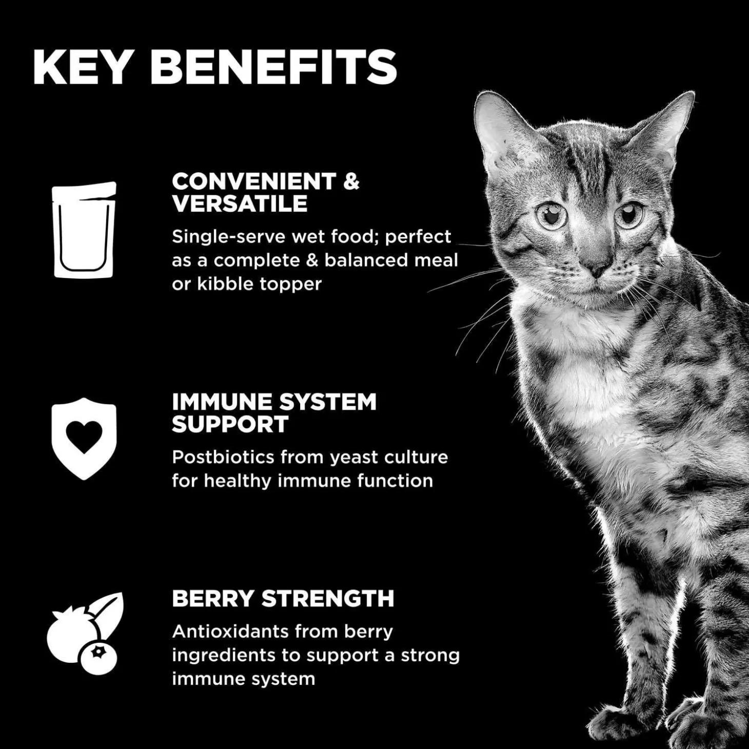 Booster Immune Health Tuna Pate Cat Food Topper