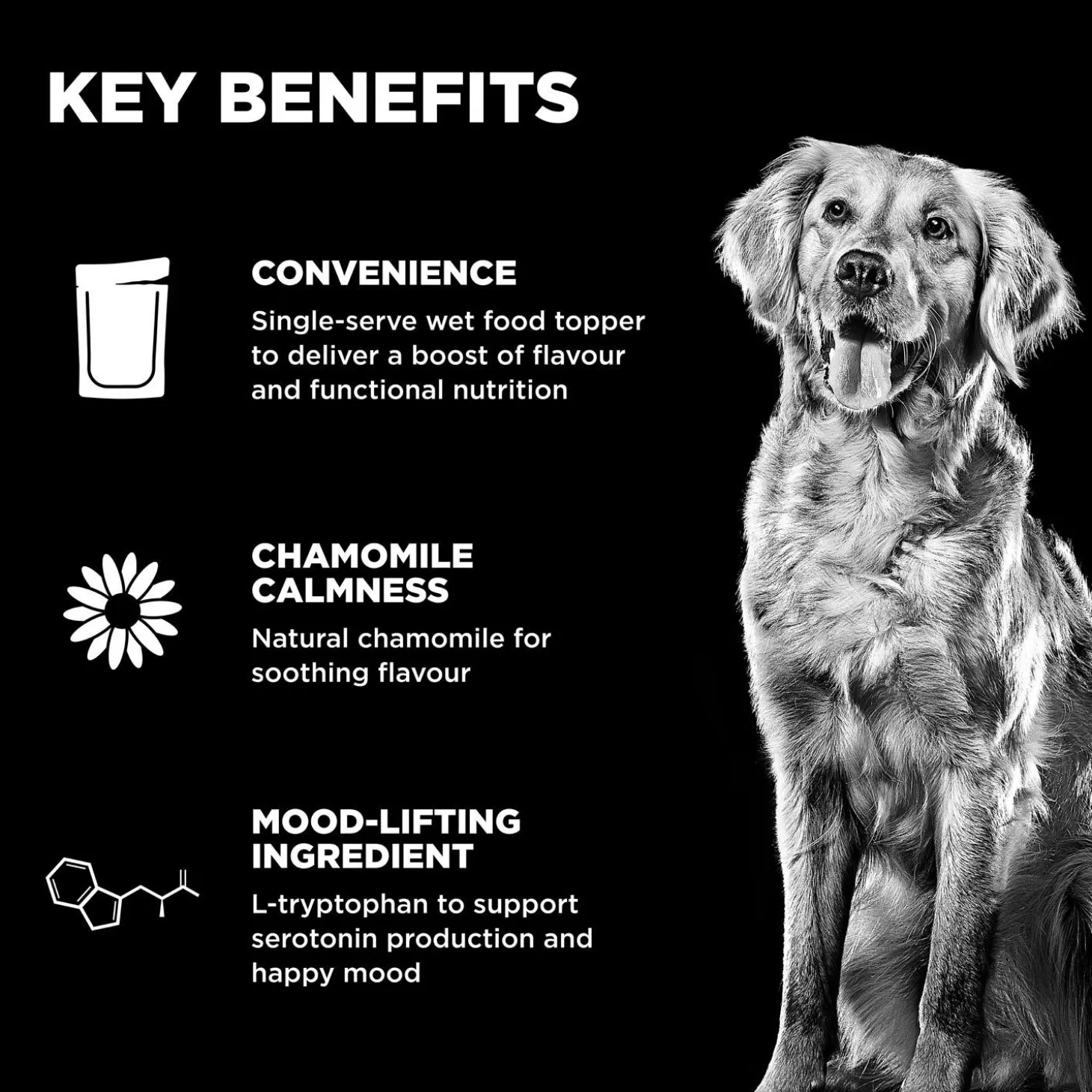 Booster Tranquility Chicken, Salmon + Duck Stew Dog Food Topper