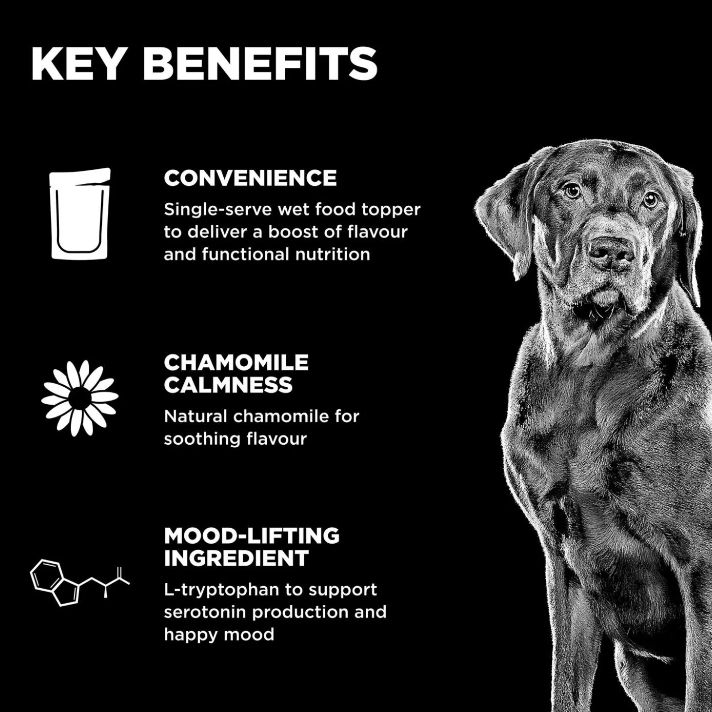 Booster Tranquility Minced Chicken Recipe With Gravy Dog Food Topper