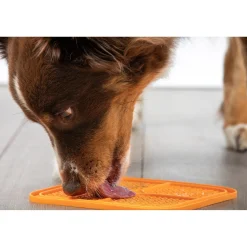 Boredom Busters Indulge