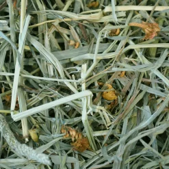 Botanical Hay for Small Animals