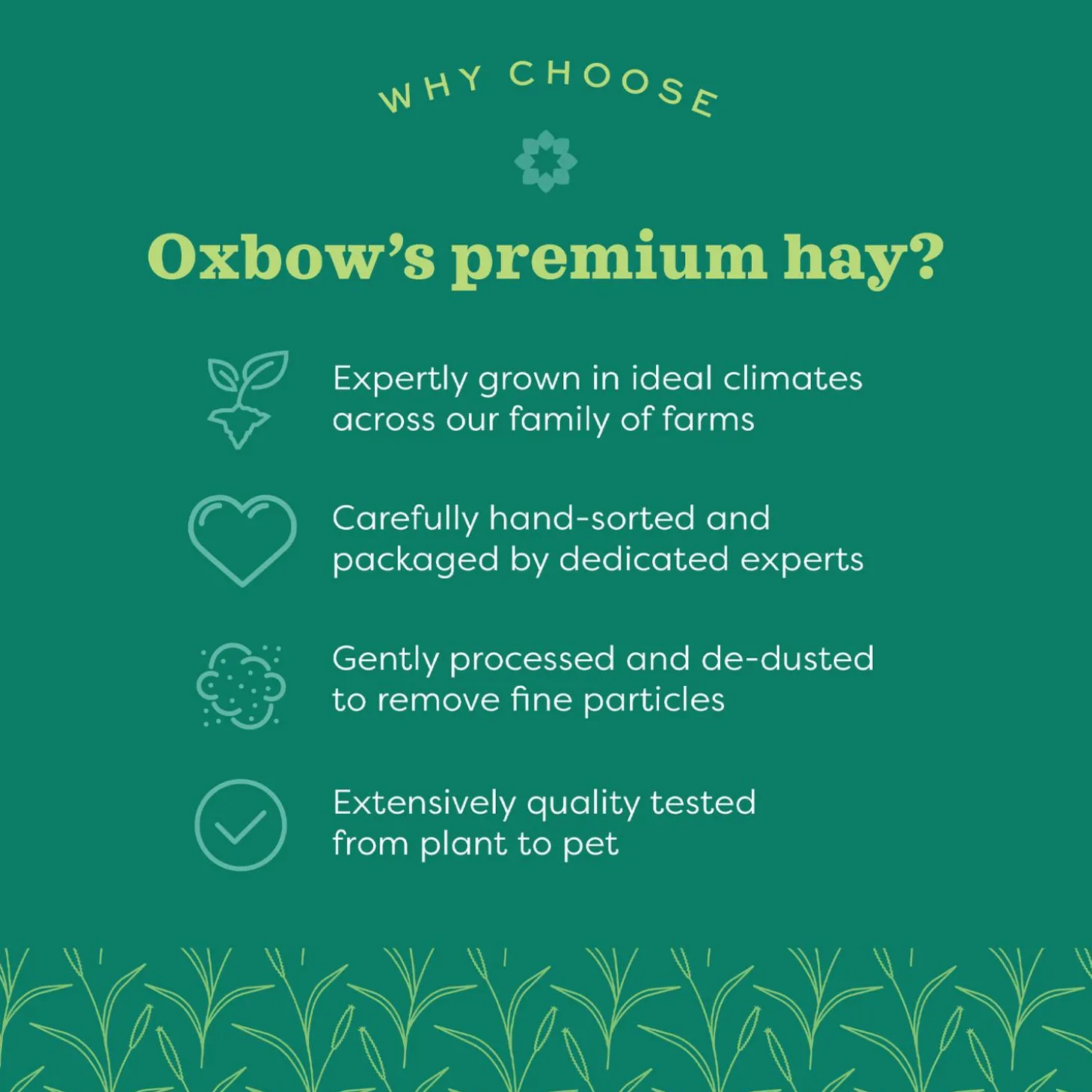 Botanical Hay for Small Animals