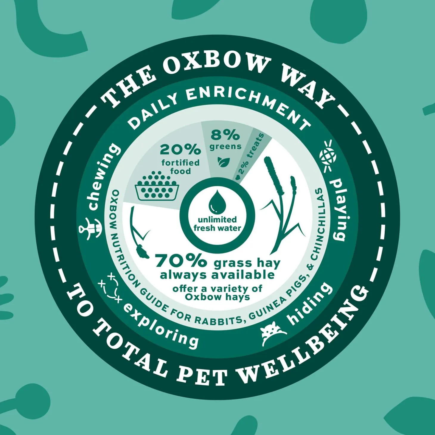 Botanical Hay for Small Animals