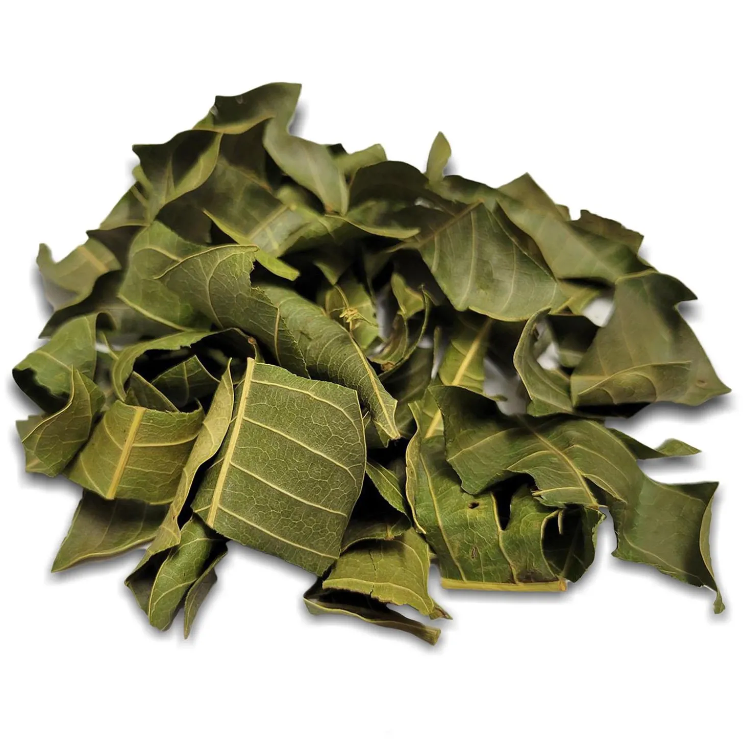 Botanicals Dried Mango Leaf Small Animal Treats